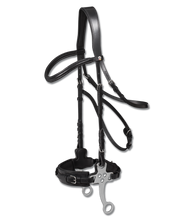 Load image into Gallery viewer, Waldhausen x line hackamore bridle
