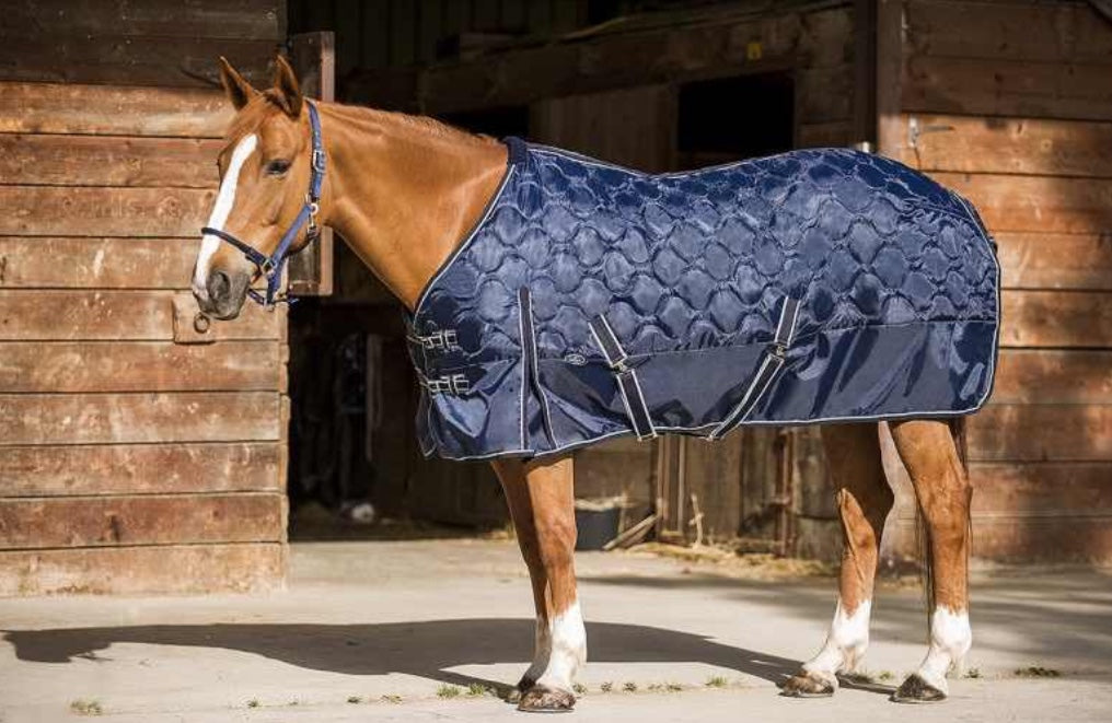 Norton medium weight stable rug