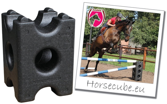 jump block horse cube