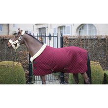 Load image into Gallery viewer, Kentucky show rug

