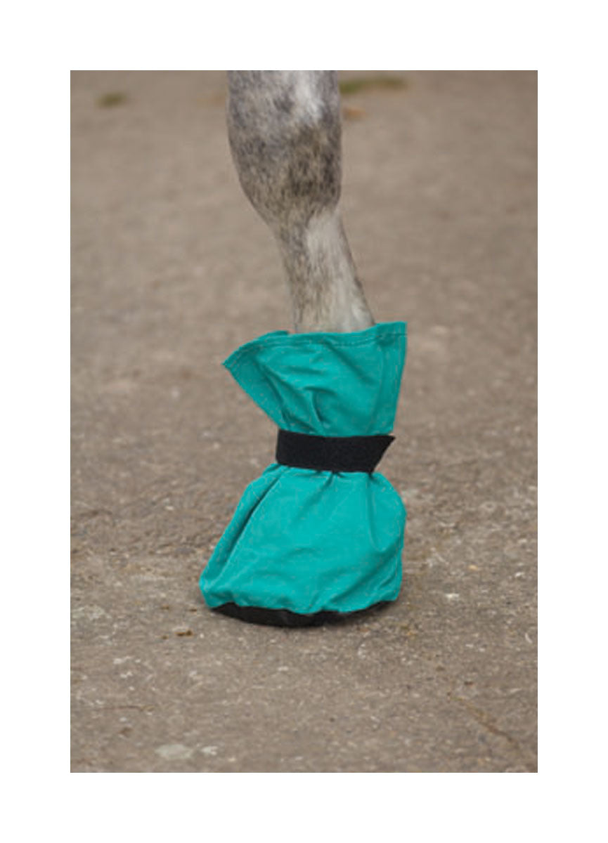 canvas poultice boot