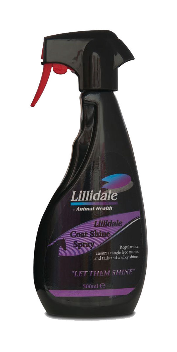 lilidale coat shine
