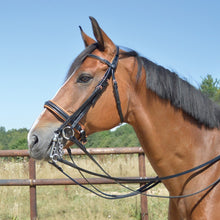 Load image into Gallery viewer, CCGB Bi-colour double bridle with rose gold
