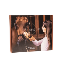 Load image into Gallery viewer, Kentucky equine essential brush set
