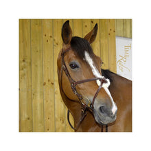 Load image into Gallery viewer, CCGB ASSY SNAFFLE BRIDLE - CROSS NOSEBAND
