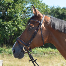 Load image into Gallery viewer, CCGB bi-colour snaffle bridle rose gold
