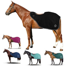 Load image into Gallery viewer, Horses Artemisia exercise sheets

