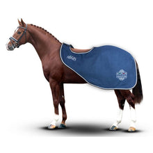 Load image into Gallery viewer, Horses Artemisia exercise sheets
