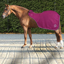 Load image into Gallery viewer, Horses Artemisia exercise sheets
