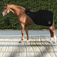 Load image into Gallery viewer, Horses Artemisia exercise sheets
