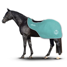Load image into Gallery viewer, Horses Artemisia exercise sheets
