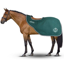 Load image into Gallery viewer, Horses Artemisia exercise sheets
