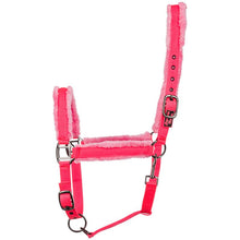 Load image into Gallery viewer, Ir Sweet soul head collar
