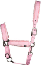 Load image into Gallery viewer, Ir Sweet soul head collar
