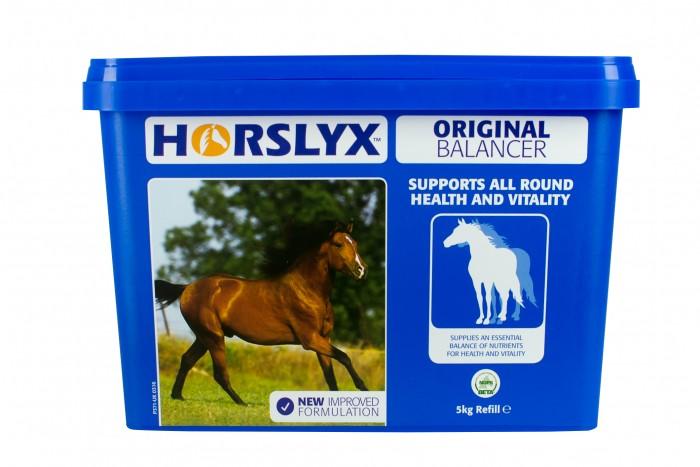HORSLYX ORIGINAL BALANCER LICK 5KG OFFER