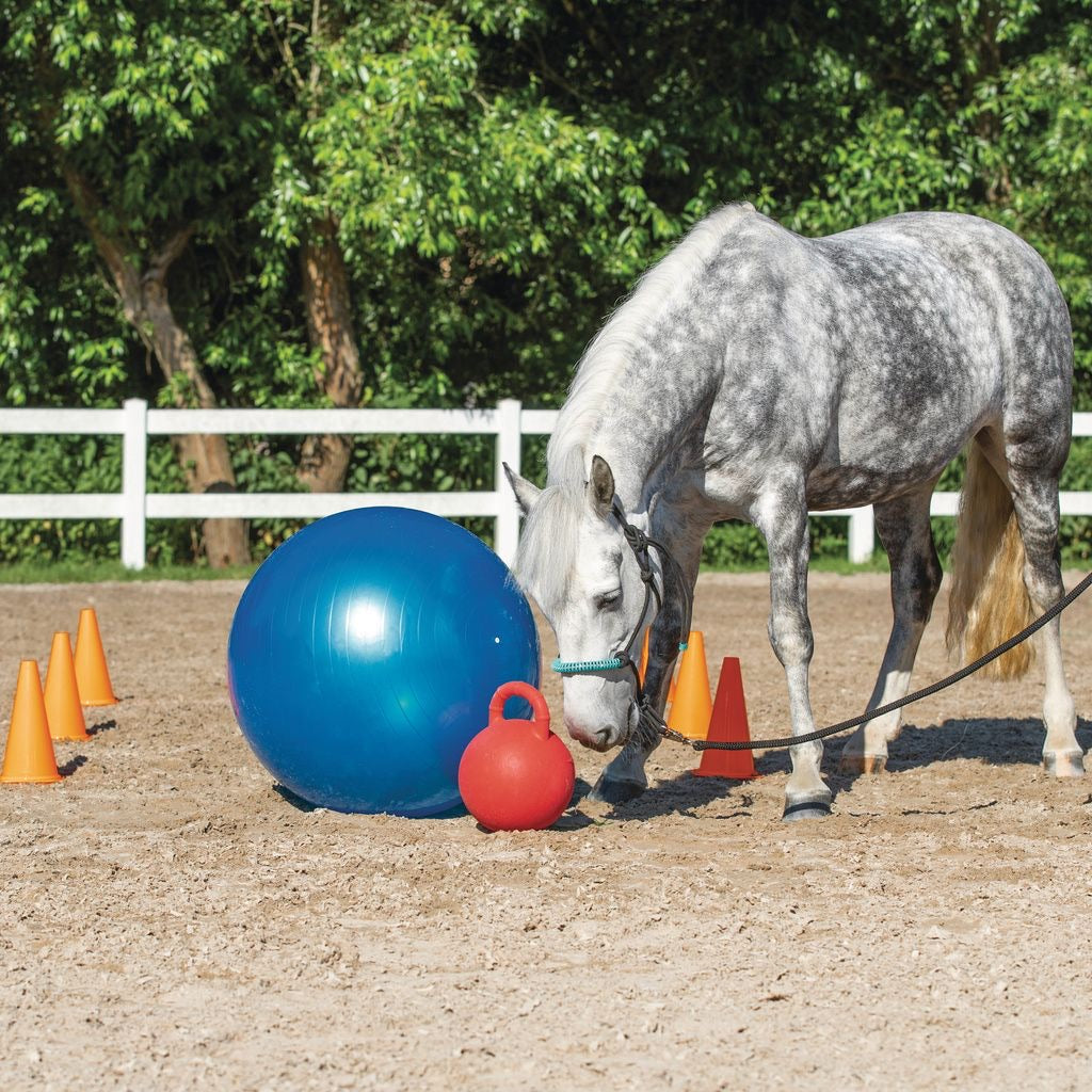 Equine Agility set