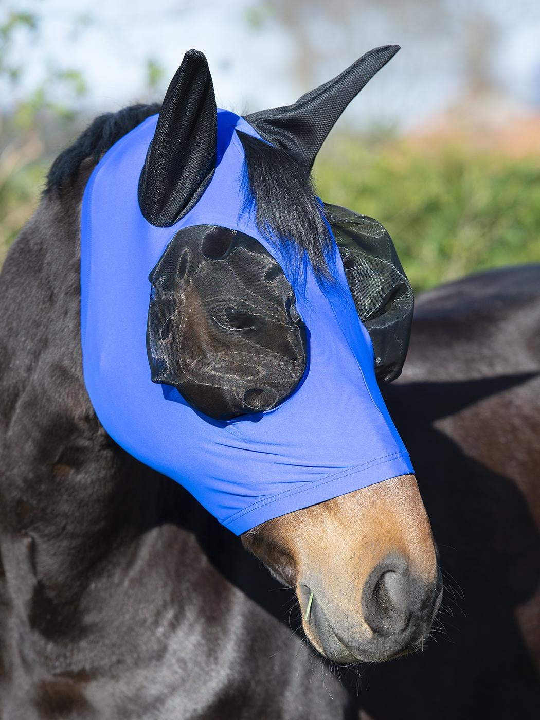 Twin fit fly mask