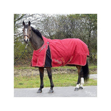 Load image into Gallery viewer, CCGB Extra comfort turnout rug
