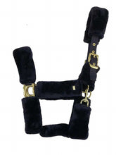 Load image into Gallery viewer, Exclusive revaluation Head Collar

