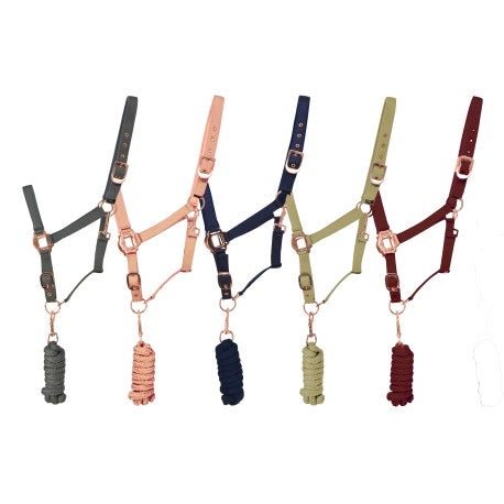 S rose gold head collar and lead rope set