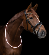 Load image into Gallery viewer, W LED NECK STRAP
