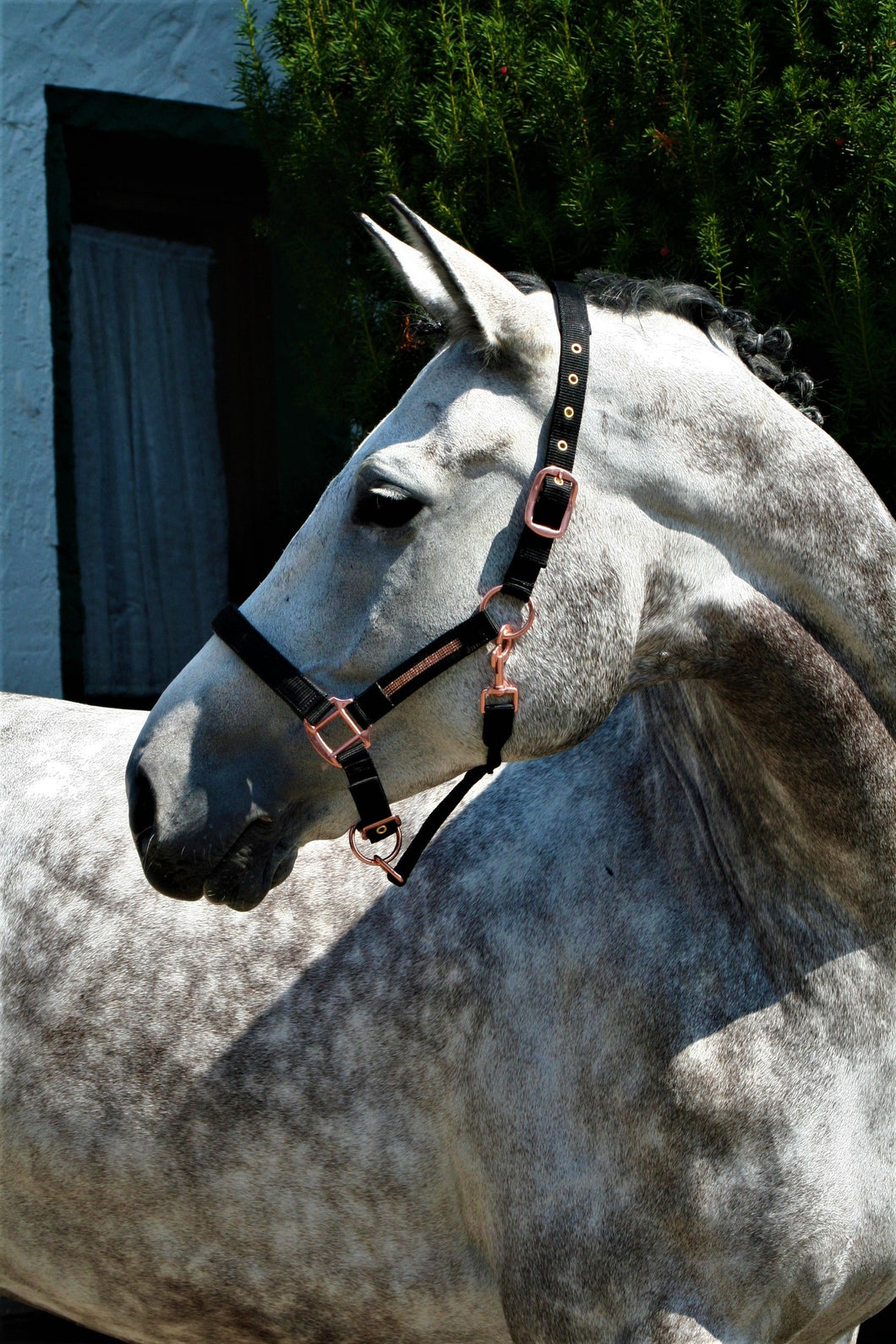USG LOVELY ROSE HEAD COLLAR