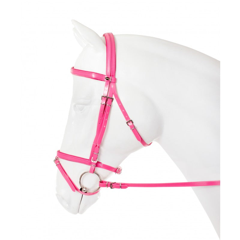 Flashy synthetic bridle