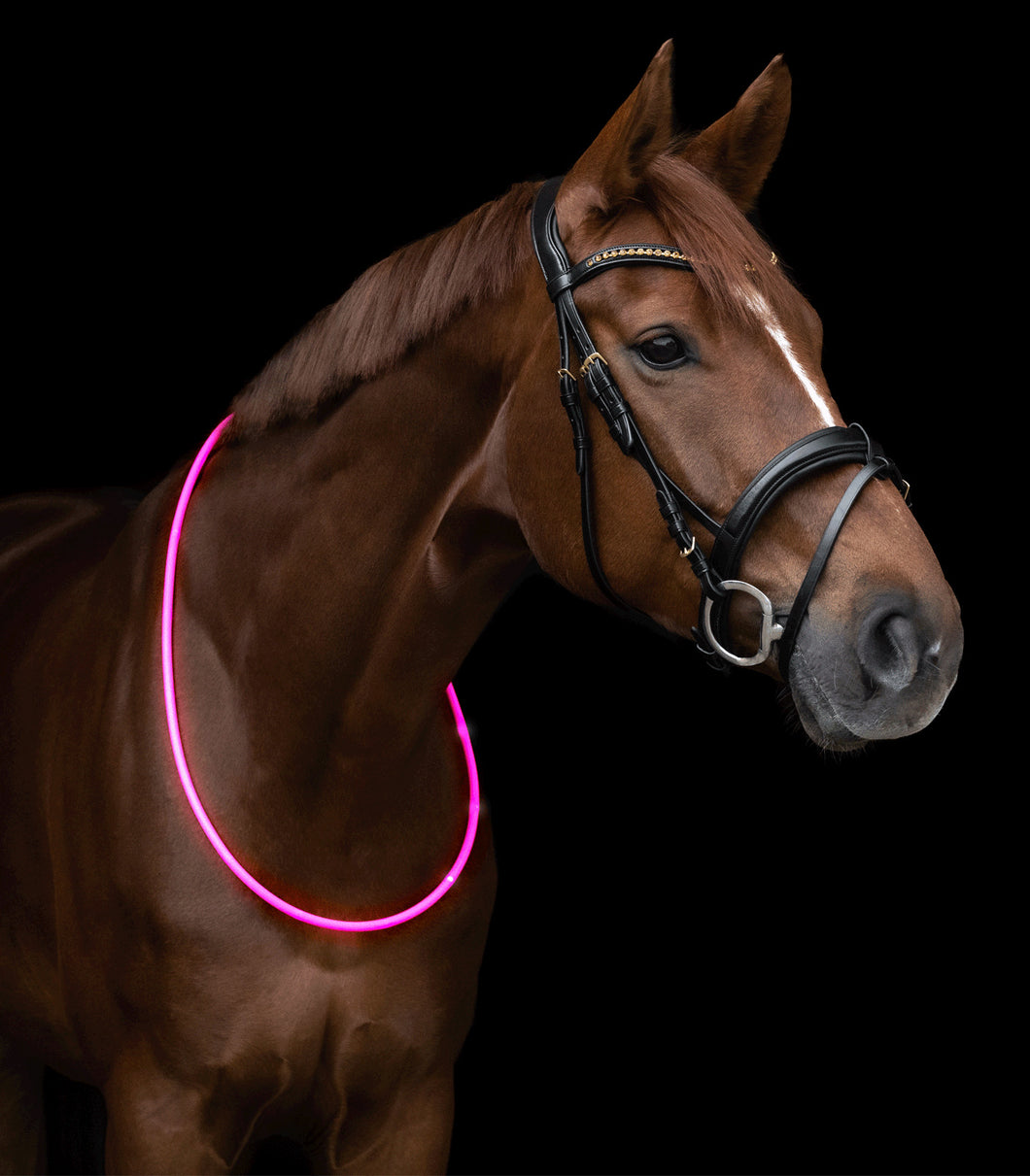W LED NECK STRAP