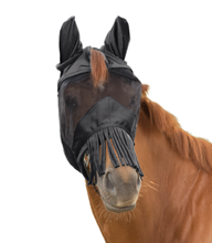 Load image into Gallery viewer, Premium 3in1 fly mask
