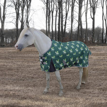Load image into Gallery viewer, TuffRider 1200 D Ripstop 220G TURNOUT RUG UNICORN PRINT
