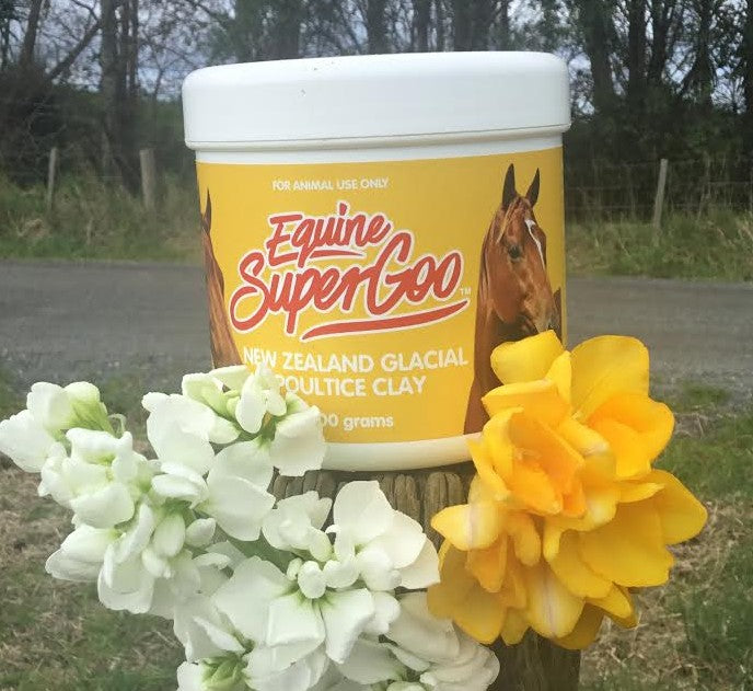 Equine Super Goo Glacial Clay