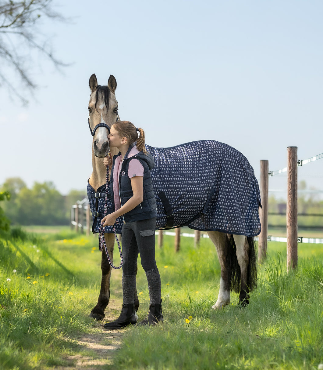 Hearts fly rug