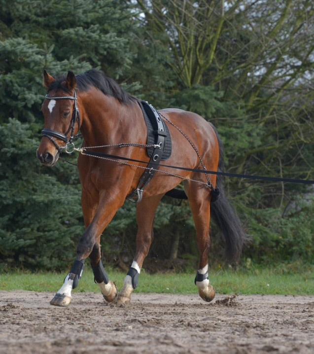 Lunging system