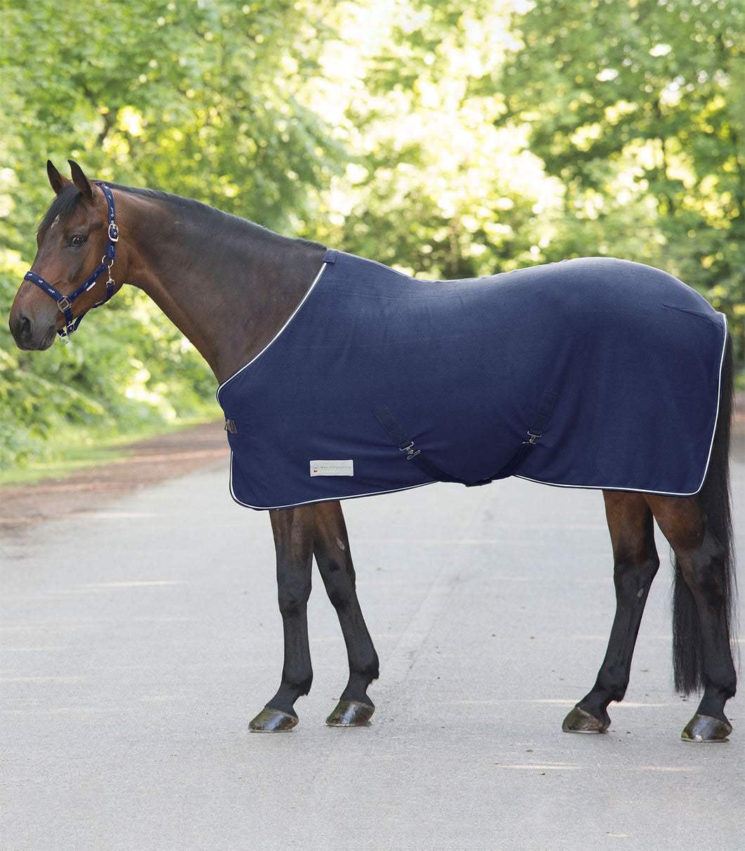 Fleece rug and head collar offer