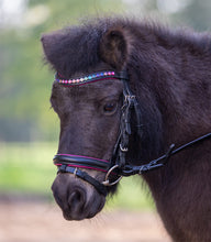 Load image into Gallery viewer, Pinky star bridle
