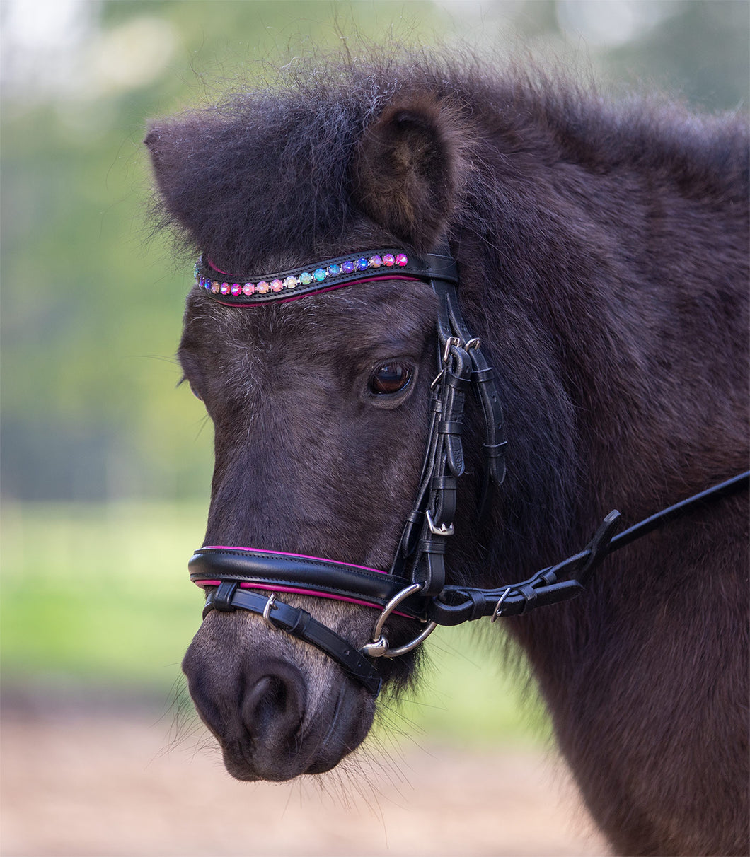 Pinky star bridle