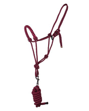 Load image into Gallery viewer, Q Rope halter set
