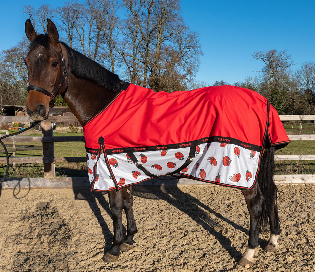 LADYBIRD PRINT AIRFLOW TURNOUT RUG