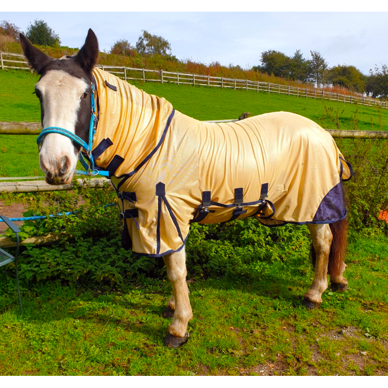 Medway Fly Rug plus complementary fly mask