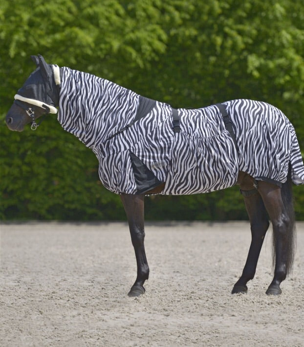 Zebra eczema fly rug