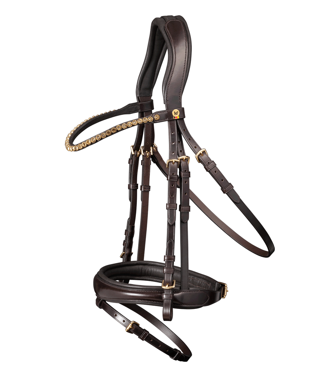 Goldsmith bridle