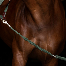 Load image into Gallery viewer, Hs Enigma lead rope
