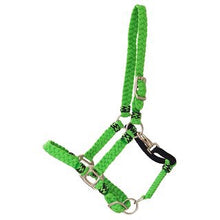 Load image into Gallery viewer, Gr Kentucky head collar
