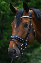 Load image into Gallery viewer, ELEGANCE’ SNAFFLE BRIDLE WITH PATENT ANATOMICAL NOSEBAND
