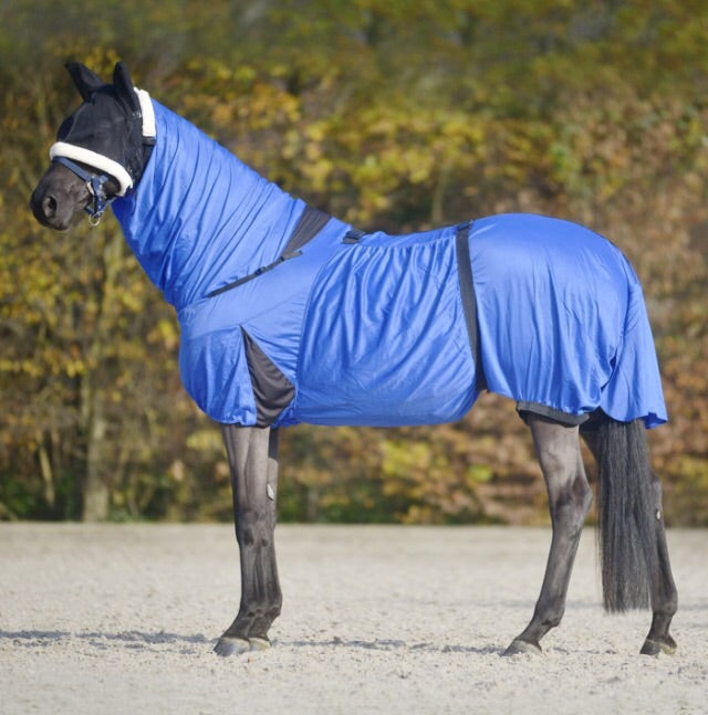 Waldhausen eczema rug