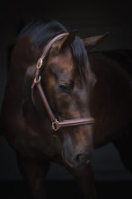 Load image into Gallery viewer, J Cancun leather head collar
