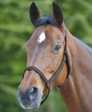 Load image into Gallery viewer, Field safe halter

