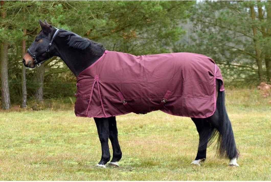 Bordeaux winter rug 1200D