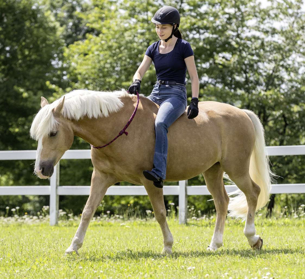 USG Neck Rein