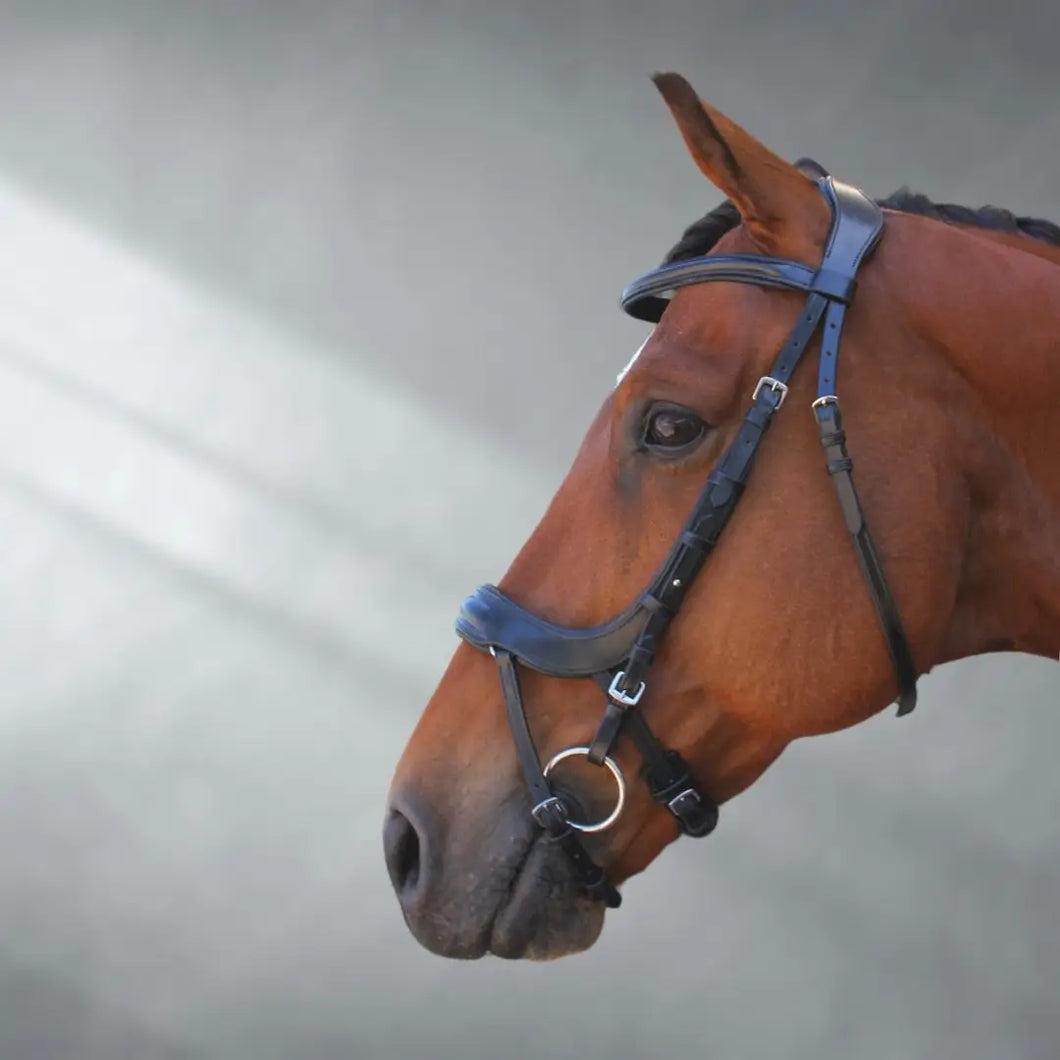 Anatomic Bridle (Sensitive Horses) + Bonus Bridle Bag